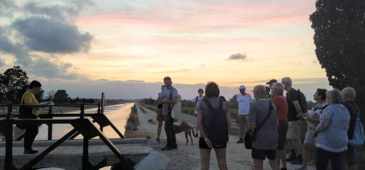 Fotos: Excursió pels espais de la Batalla de l’Ebre a Amposta