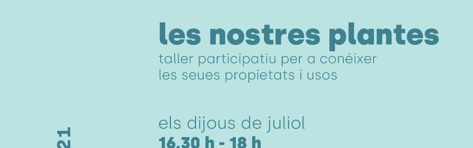 Esports, jocs infantils, gastronomia i patrimoni són els protagonistes de l’activitat estival d’Alt Maestrat Human Land