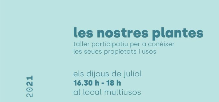 Esports, jocs infantils, gastronomia i patrimoni són els protagonistes de l’activitat estival d’Alt Maestrat Human Land