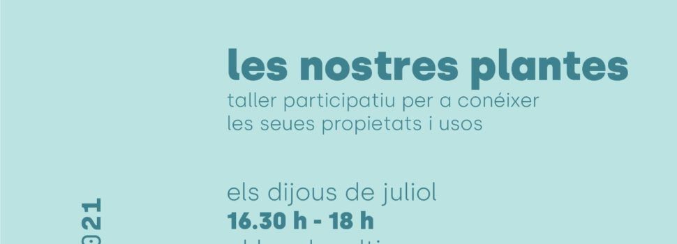 Esports, jocs infantils, gastronomia i patrimoni són els protagonistes de l’activitat estival d’Alt Maestrat Human Land