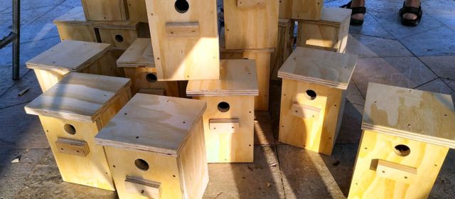 Vinaròs “llenará” de cajas nido los parques y jardines