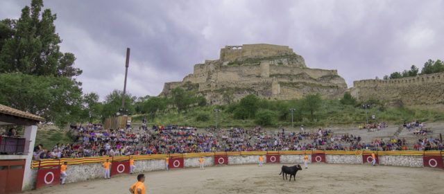 Morella presenta la programació d’actes taurins per al mes d’agost