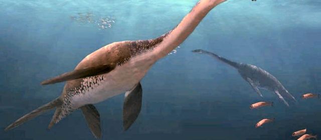Plesiosaurios de Els Ports: los dinosaurios marinos más importantes de España