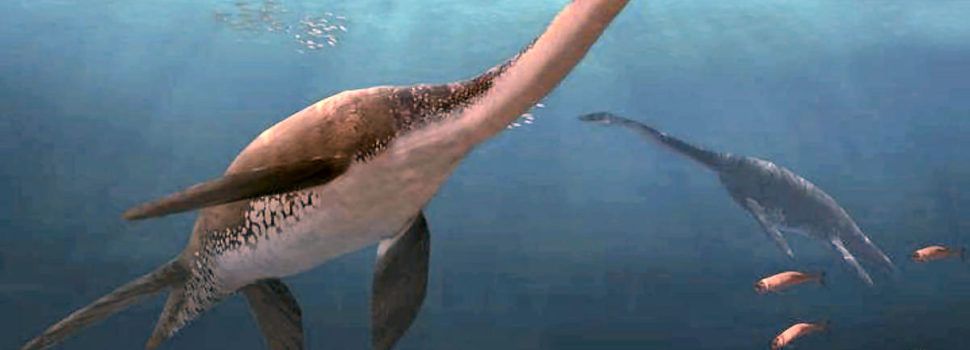 Plesiosaurios de Els Ports: los dinosaurios marinos más importantes de España