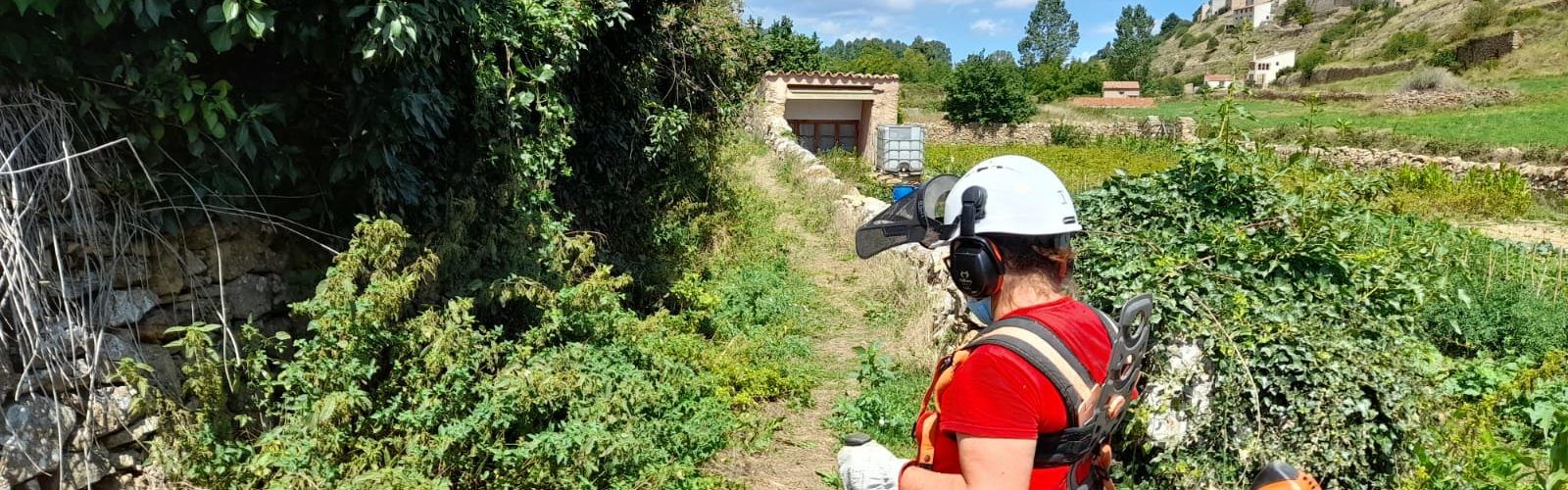 L’Ajuntament de Vilafranca contracta a 10 persones amb diferents ajudes
