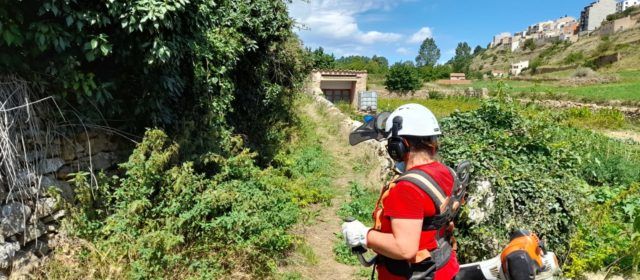 L’Ajuntament de Vilafranca contracta a 10 persones amb diferents ajudes