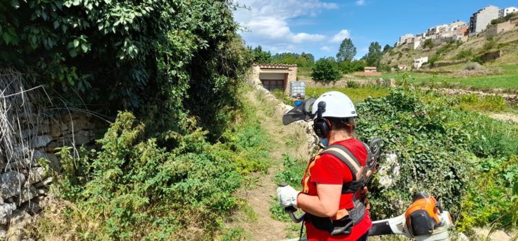 L’Ajuntament de Vilafranca contracta a 10 persones amb diferents ajudes