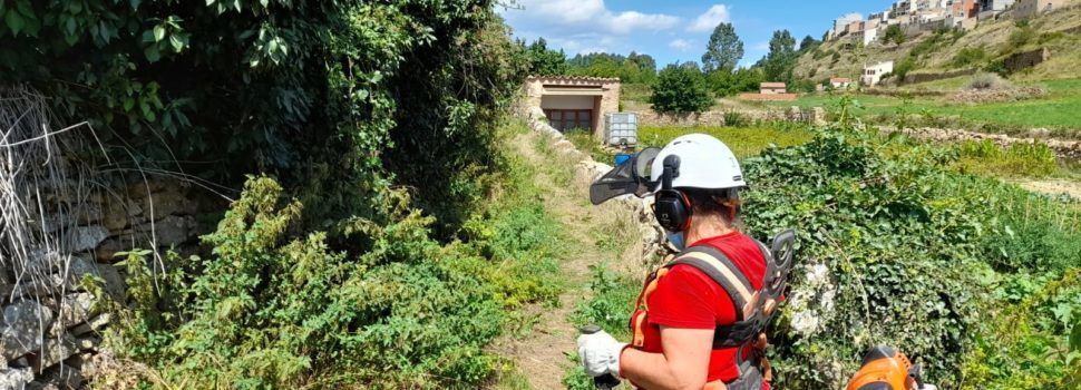 L’Ajuntament de Vilafranca contracta a 10 persones amb diferents ajudes