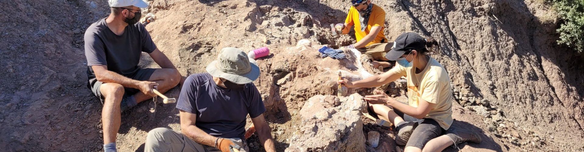 Tercera campanya d’excavacions paleontològiques al Mas de Romeu de Morella