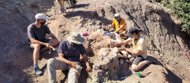 Tercera campanya d’excavacions paleontològiques al Mas de Romeu de Morella