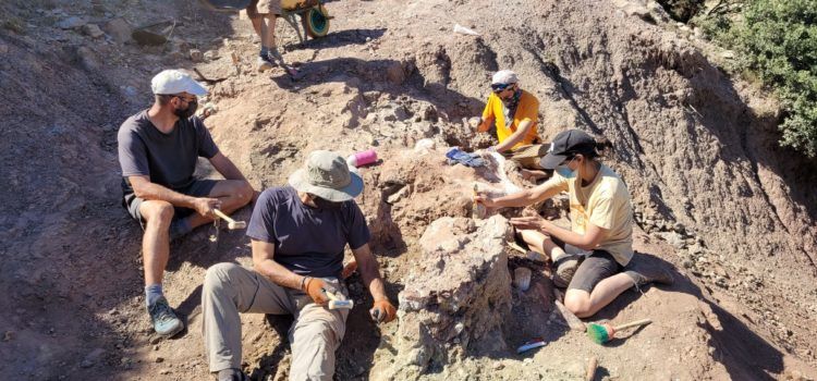 Tercera campanya d’excavacions paleontològiques al Mas de Romeu de Morella