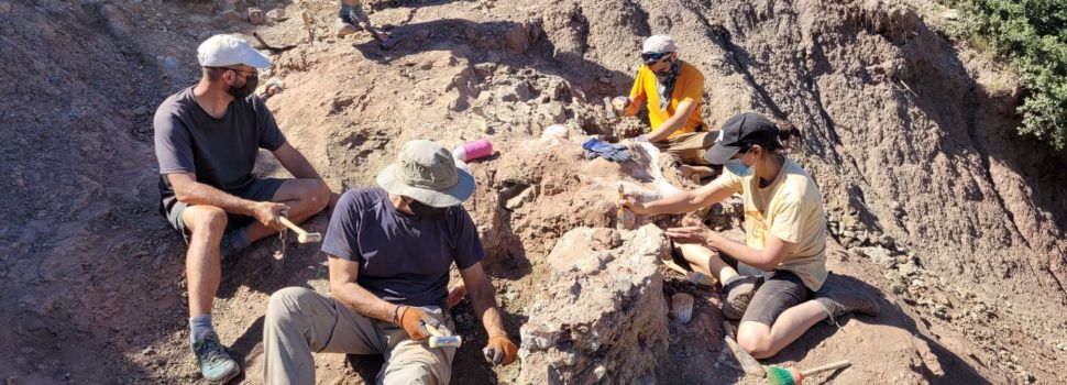 Tercera campanya d’excavacions paleontològiques al Mas de Romeu de Morella