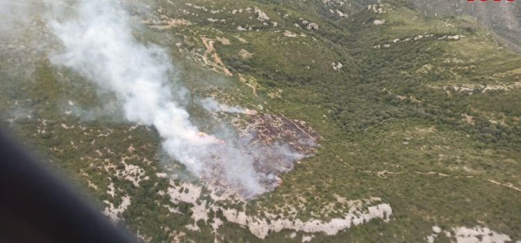 Incendi als termes de Freginals i la Ràpita que ha afectat 2,7 hectàrees