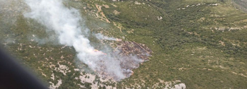 Incendi als termes de Freginals i la Ràpita que ha afectat 2,7 hectàrees