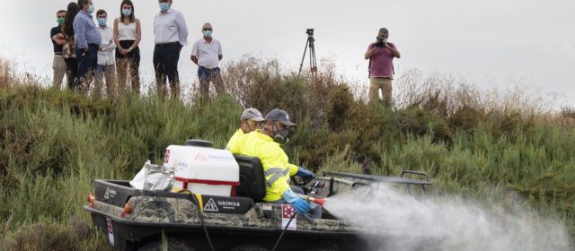 La Diputació activa una nova tanda de fumigacions per a evitar la proliferación de mosquits per les pluges dels últims dies