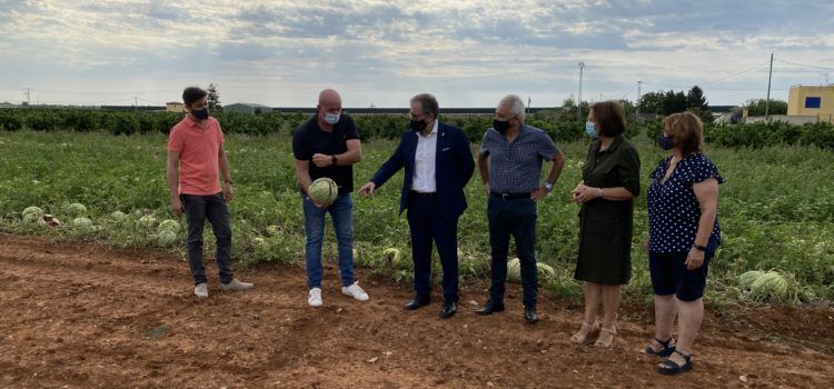 L’Ajuntament de Benicarló demanarà ajudes per als agricultors afectats per la pedregada