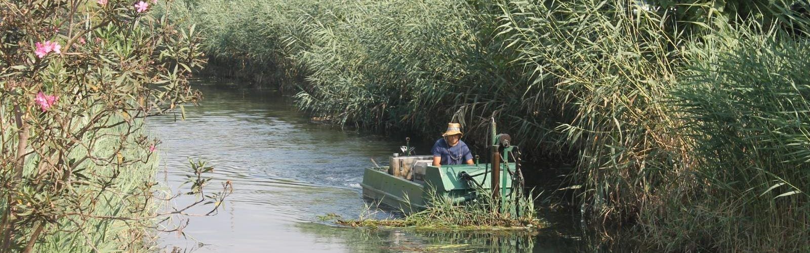 El Ayuntamiento de Peñíscola ultima la segunda fase de desbroce y poda de cañas de acequias y marjal