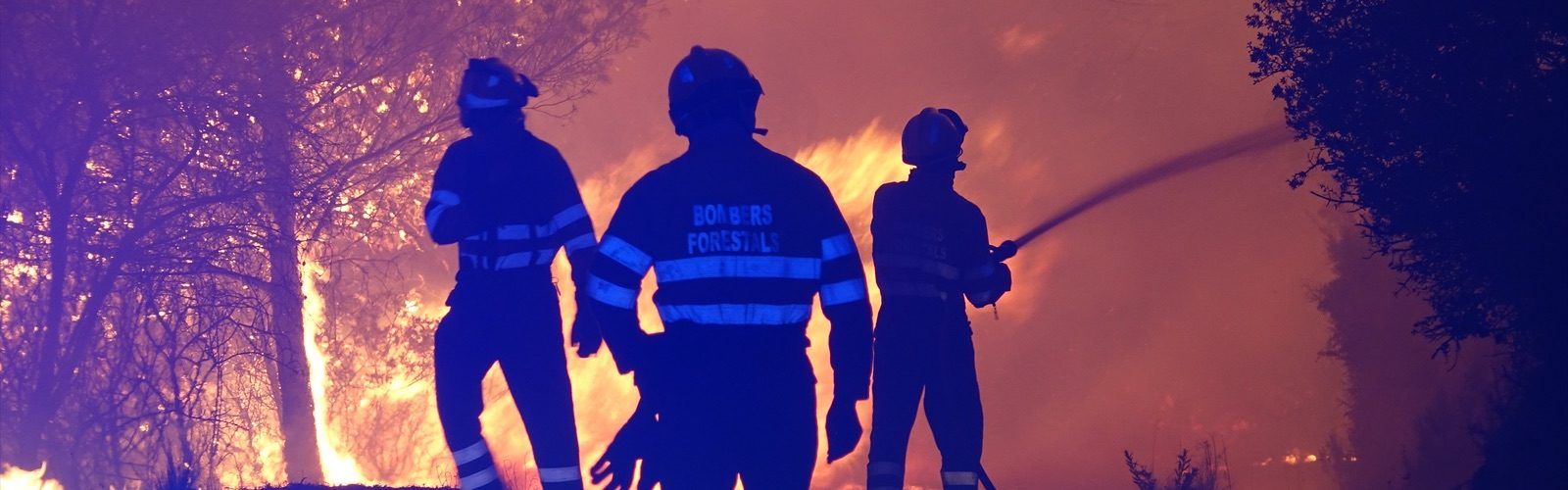 Els bombers de la Diputació intervenen durant l’onada de calor en 21 incendis a tota la província de Castelló