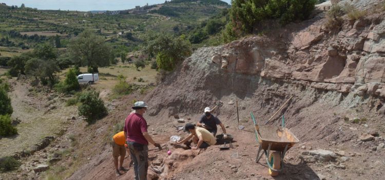 Finalitza la campanya d’excavació al jaciment del Mas de Romeu