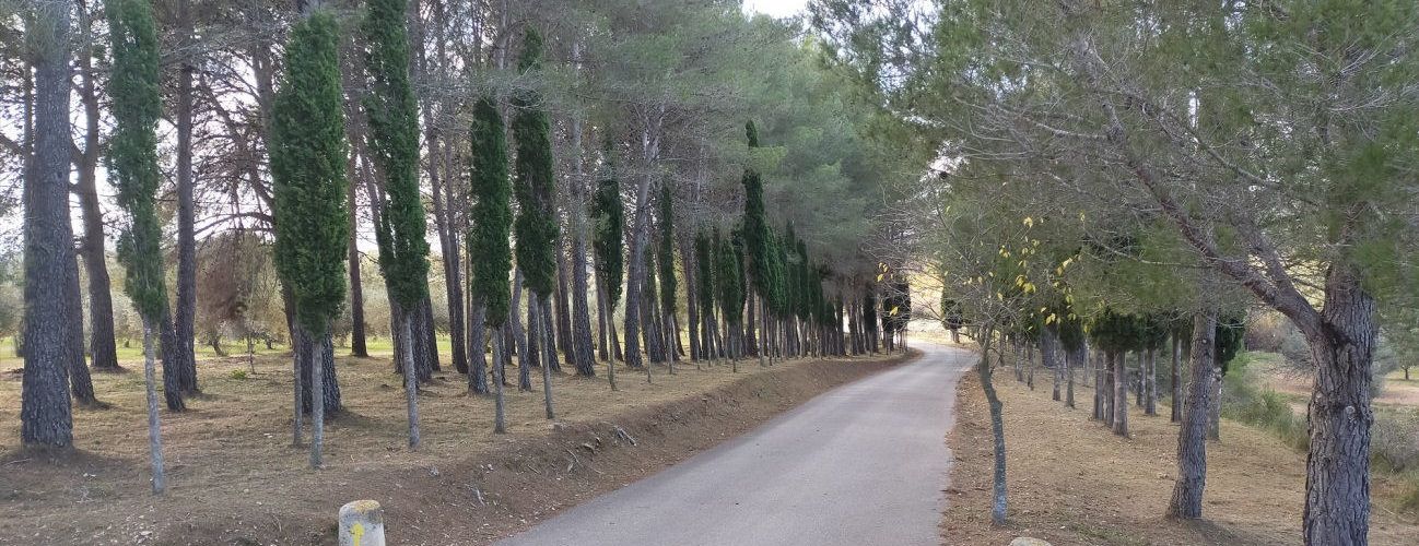5 persones a Sant Mateu es beneficien del Programa EMERGE de LABORA
