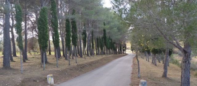 5 persones a Sant Mateu es beneficien del Programa EMERGE de LABORA