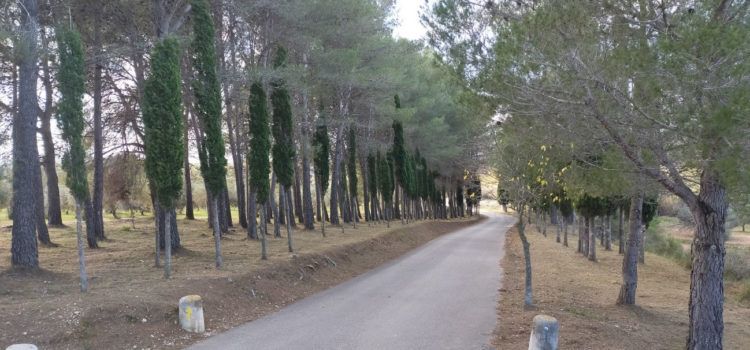 5 persones a Sant Mateu es beneficien del Programa EMERGE de LABORA