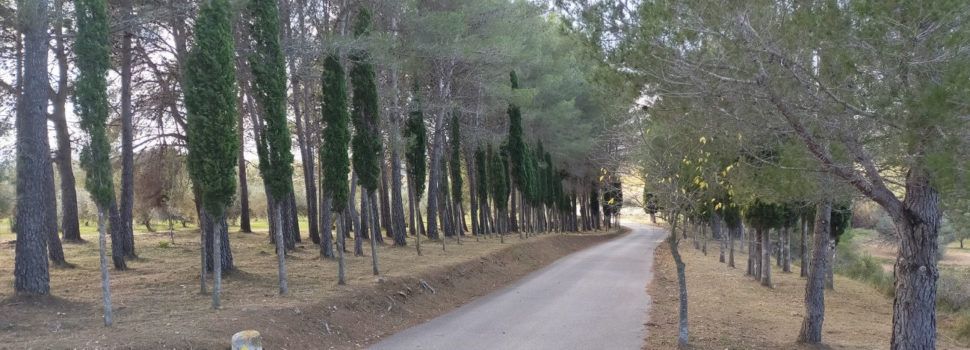 5 persones a Sant Mateu es beneficien del Programa EMERGE de LABORA
