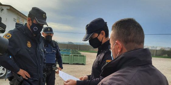 La Policía de la Generalitat detiene a 70 personas y detecta 126 empresas ilegales durante el primer semestre del año