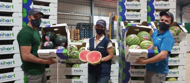 Amarga campaña de sandía 2021 para Benihort