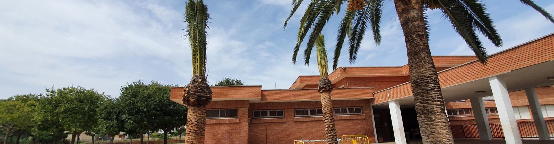 Fotos: nou curs, noves palmeres a l’Assumpció de Vinaròs