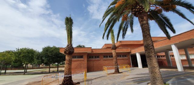 Fotos: nou curs, noves palmeres a l’Assumpció de Vinaròs
