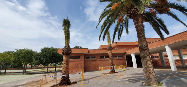 Fotos: nou curs, noves palmeres a l’Assumpció de Vinaròs