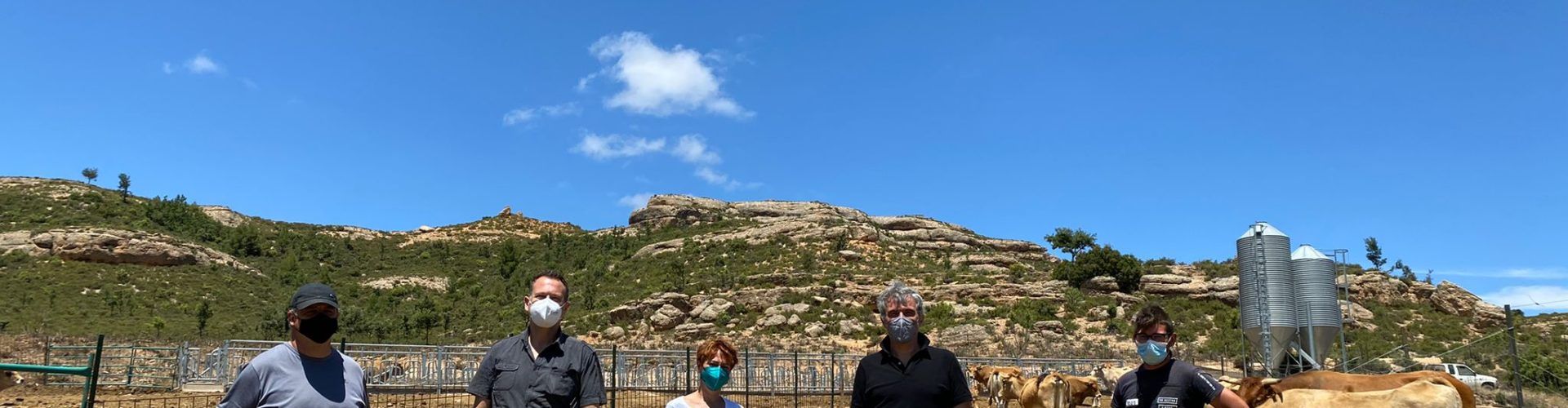 Un centenar de ramaders participa per WhatsApp en la jornada de l’Economia Circular de l’Oliva per a aprofitar la sansa com a aliment per a remugants