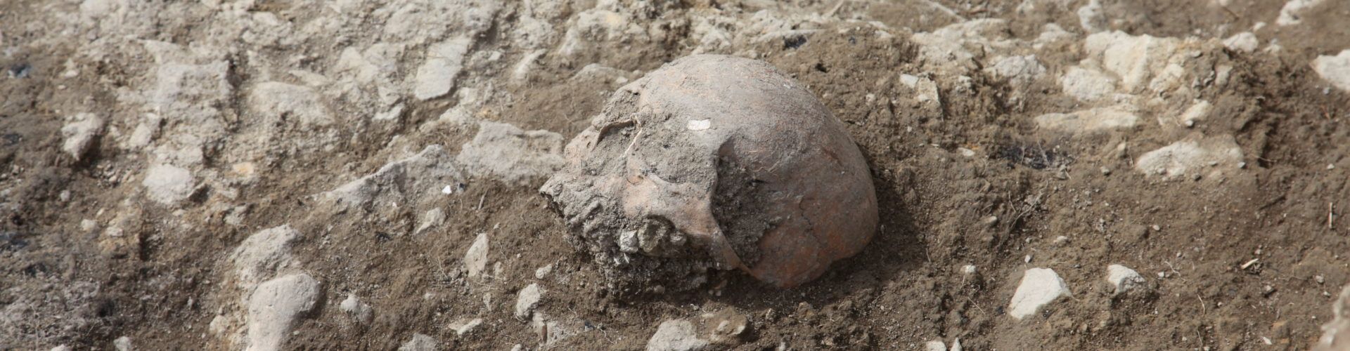 Apareixen restes d’inhumacions en les noves excavacions de Portell
