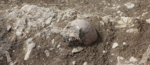 Apareixen restes d’inhumacions en les noves excavacions de Portell