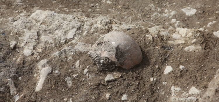Apareixen restes d’inhumacions en les noves excavacions de Portell