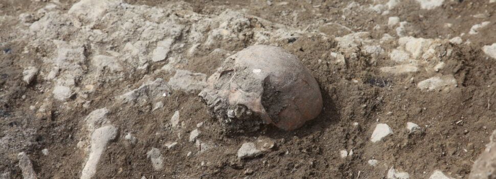 Apareixen restes d’inhumacions en les noves excavacions de Portell