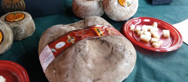 Quesos de Catí, qualitat i territori