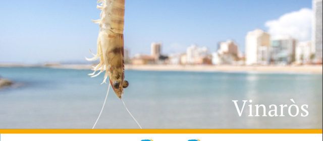 Vinaròs presenta amb Saborea España el destí i la seua gastronomia a la Confederació Espanyola d’Agències de Viatges