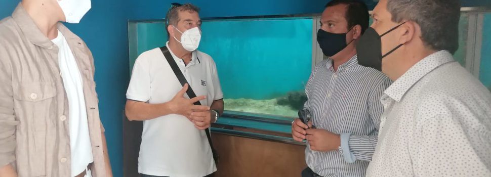 Peníscola ultima les obres del Museu de la Mar després d’aconseguir finançament europeu per al projecte