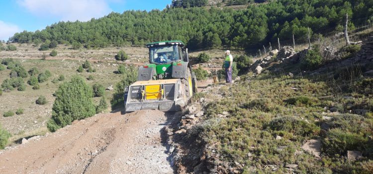 S’inicien les millores i reparacions de camins rurals de Morella afectats pel temporal Filomena