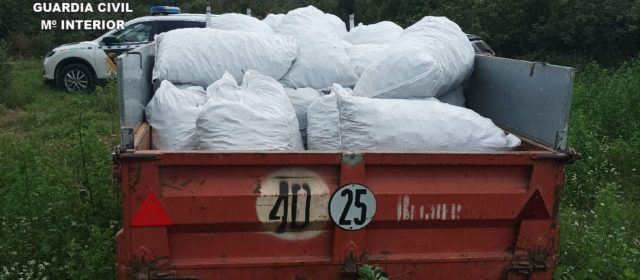Cinco detenidos por hurtar más de una tonelada de algarrobas en Sant Jordi