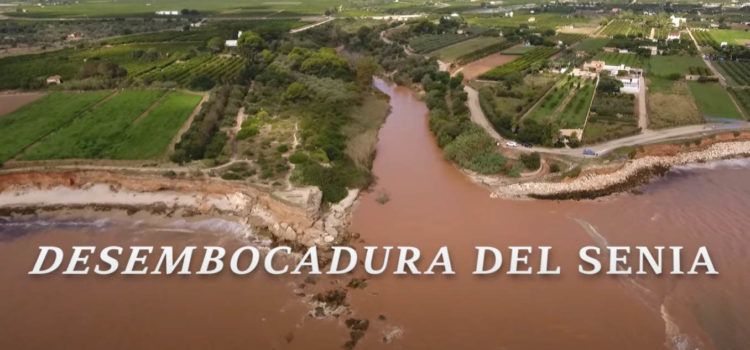 Dos vídeos d’èxit sobre la passada DANA