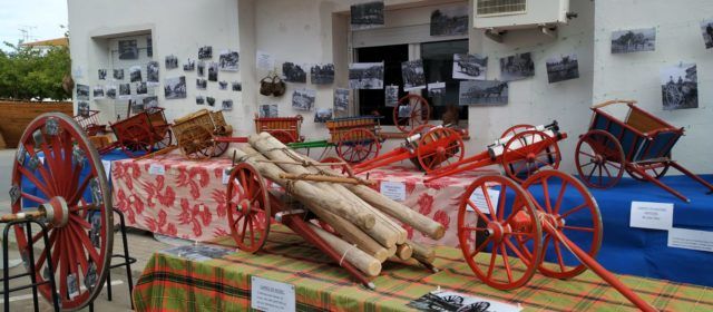 Fotos: Festa Orígens a la Ràpita