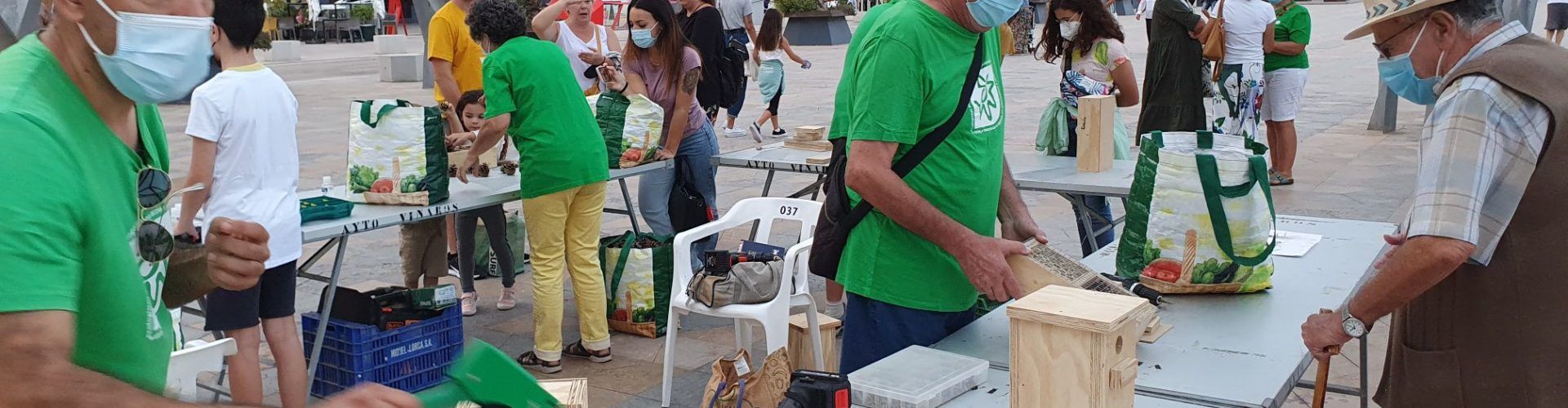 Nou taller per construir caixes nius i hotels d’insectes