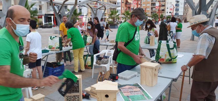 Nou taller per construir caixes nius i hotels d’insectes