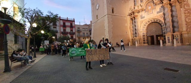 Vídeo i fotos: Nova manifestació de Fridays For Future Vinaròs