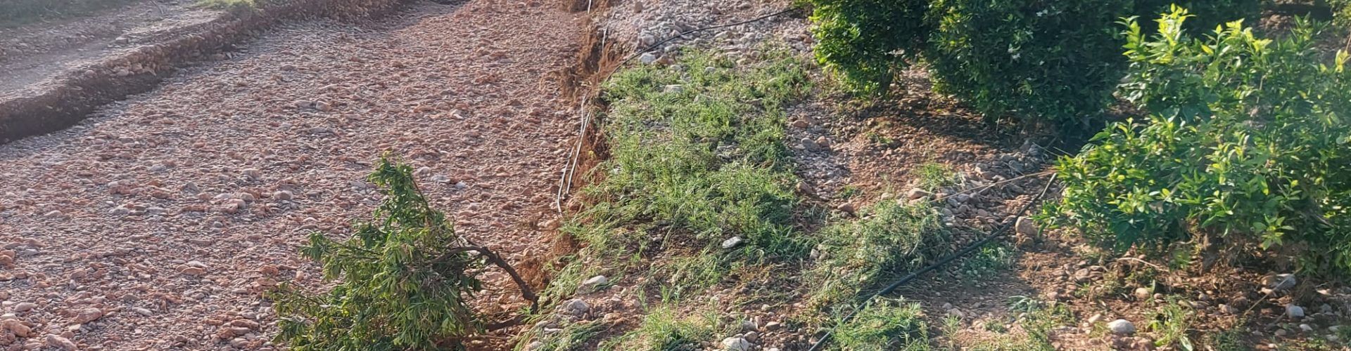 LA UNIÓ de Llauradors demana que s’agilitzen les ajudes als Ajuntaments afectats del Maestrat per a reparar els camins rurals