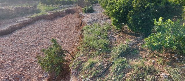 LA UNIÓ de Llauradors demana que s’agilitzen les ajudes als Ajuntaments afectats del Maestrat per a reparar els camins rurals