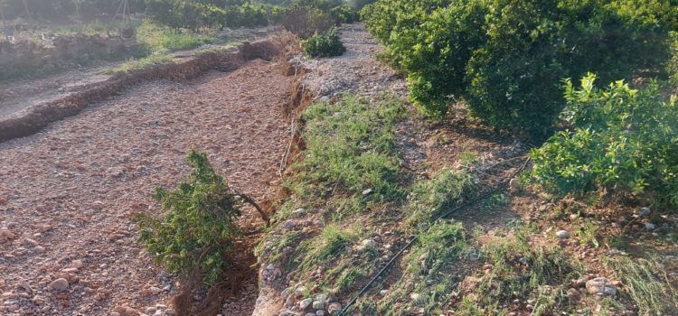 LA UNIÓ de Llauradors demana que s’agilitzen les ajudes als Ajuntaments afectats del Maestrat per a reparar els camins rurals